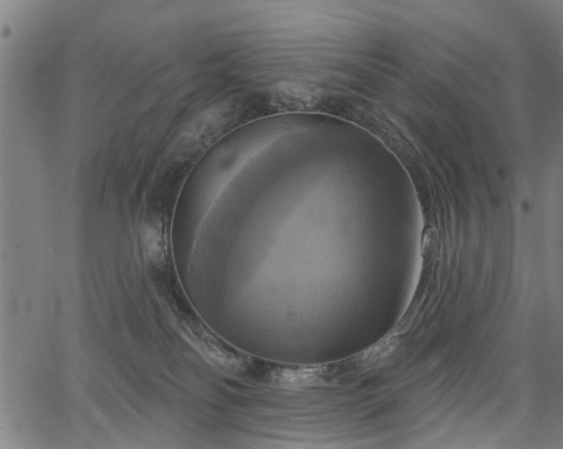 X0000067350134200604030943