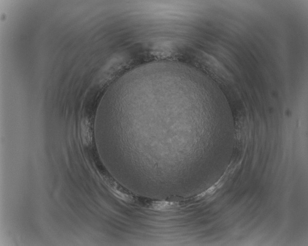 X0000067350136200604030943