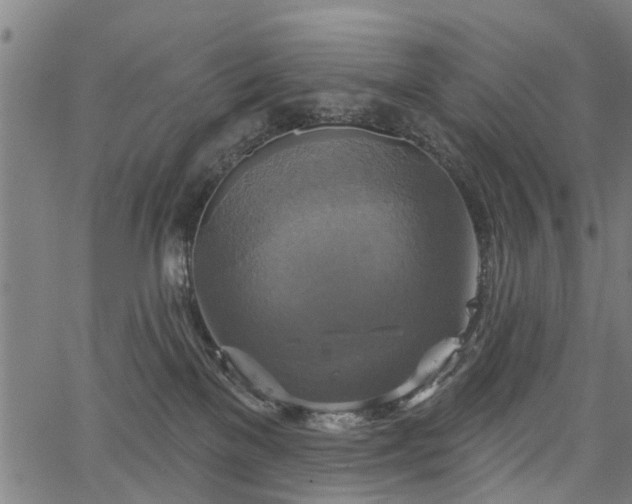 X0000067350137200604030943