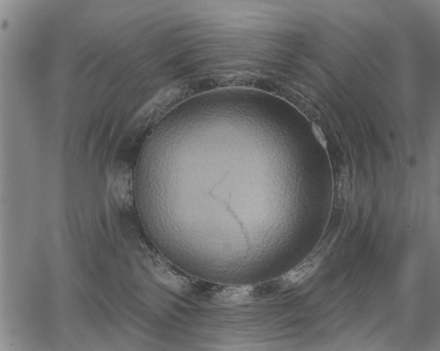 X0000067350138200604030943