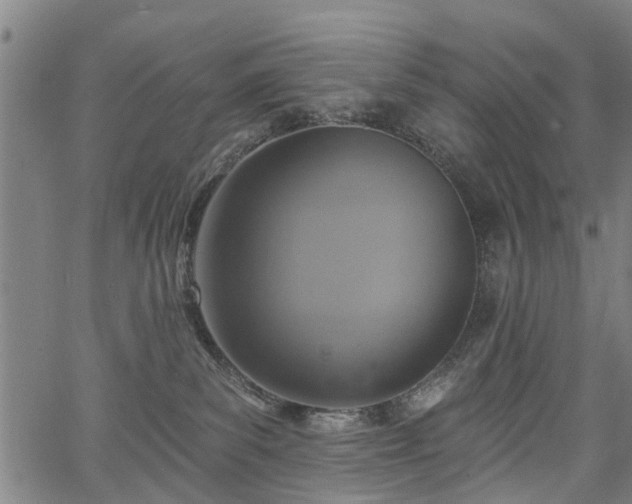 X0000067350139200604030943