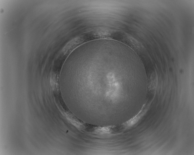 X0000067350140200604030943