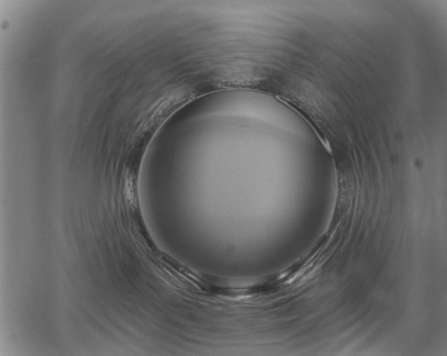 X0000067350143200604030943