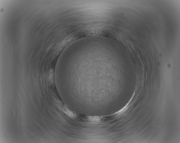 X0000067350144200604030943