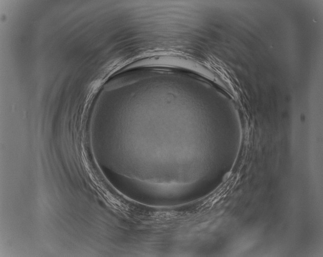 X0000067350145200604030942