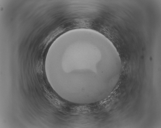 X0000067350146200604030942