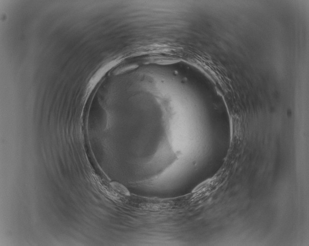 X0000067350147200604030942