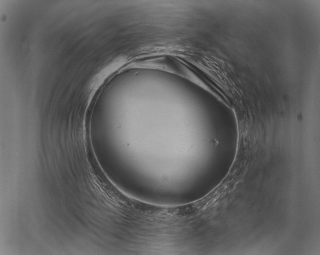 X0000067350148200604030942