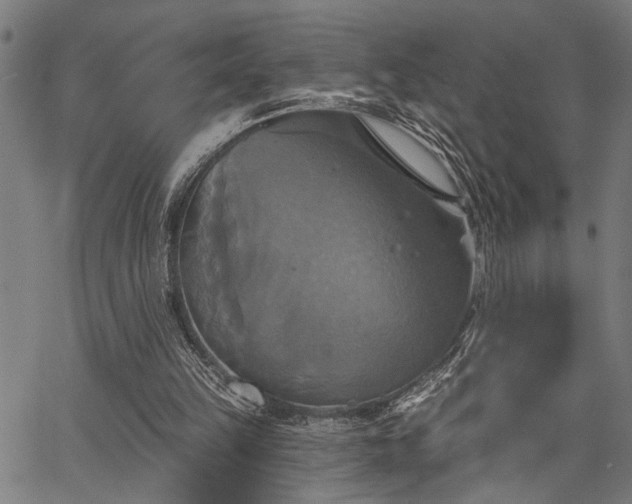 X0000067350149200604030942