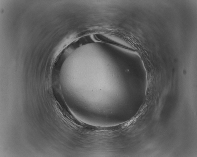 X0000067350150200604030942