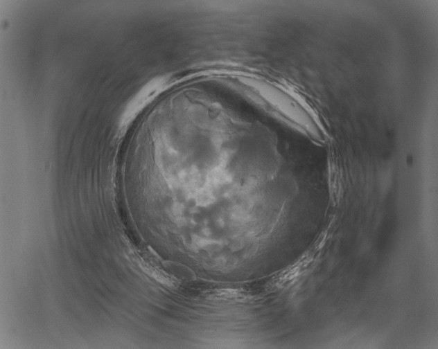 X0000067350151200604030942