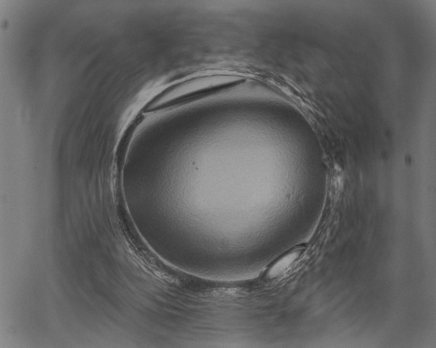 X0000067350152200604030942