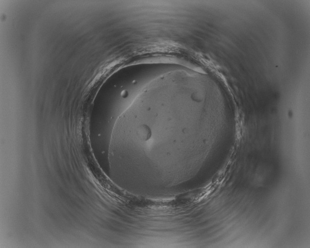 X0000067350154200604030942