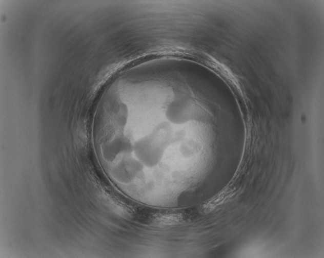 X0000067350155200604030942