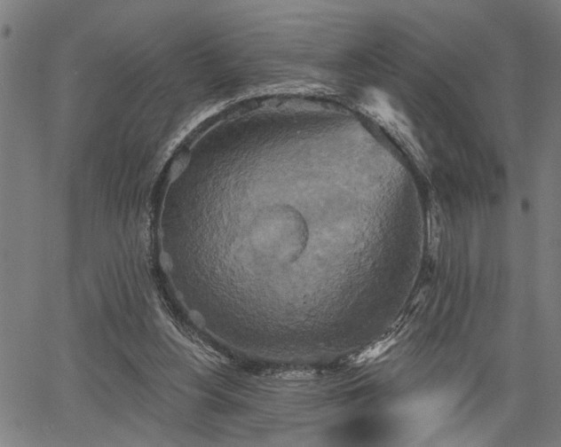 X0000067350156200604030943