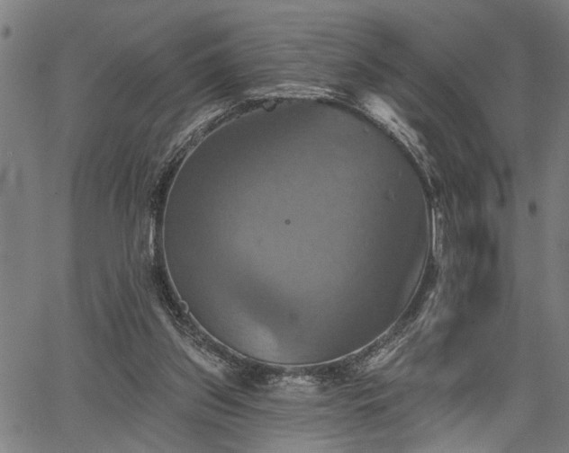 X0000067350157200604030943