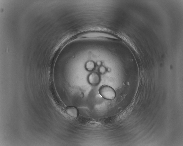 X0000067350159200604030943