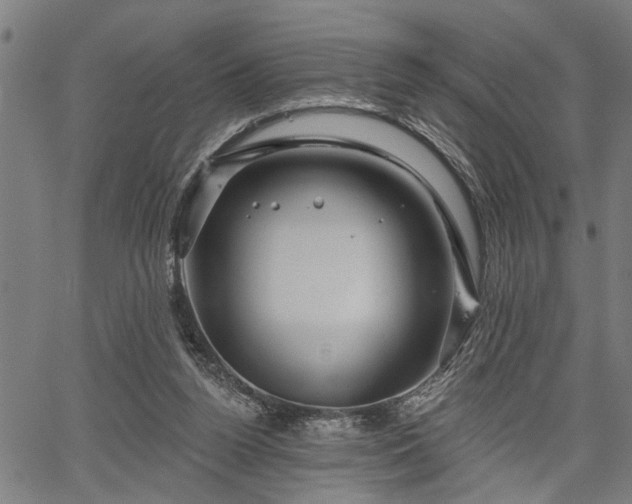 X0000067350160200604030943