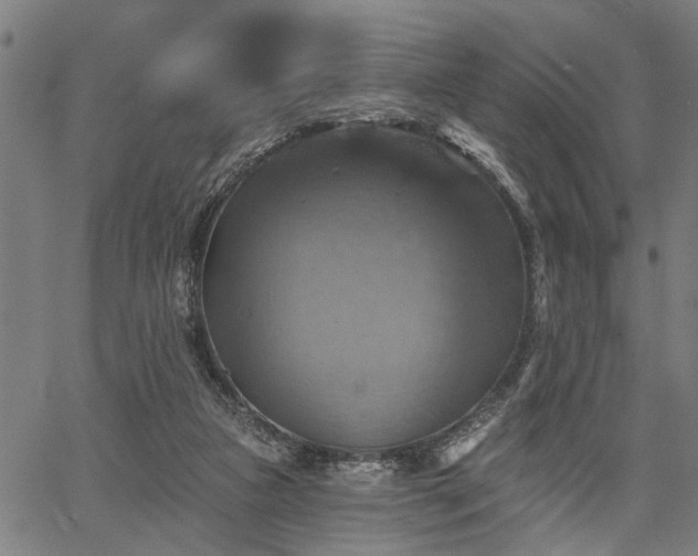 X0000067350161200604030943