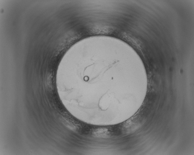 X0000067350162200604030943