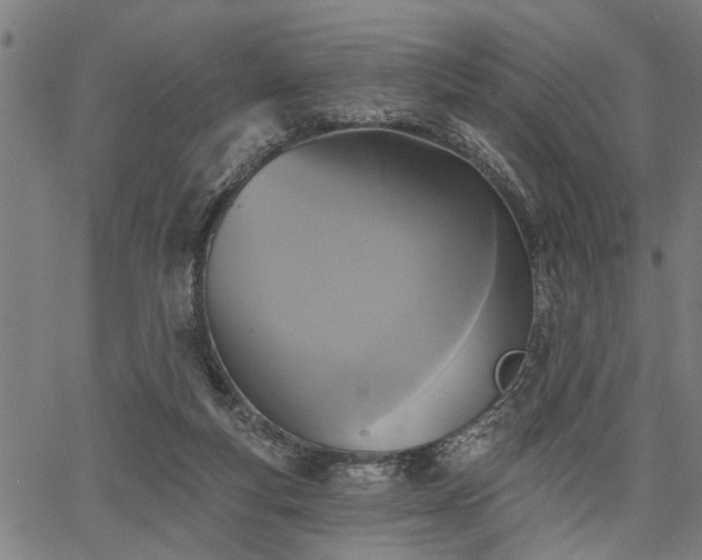 X0000067350163200604030943