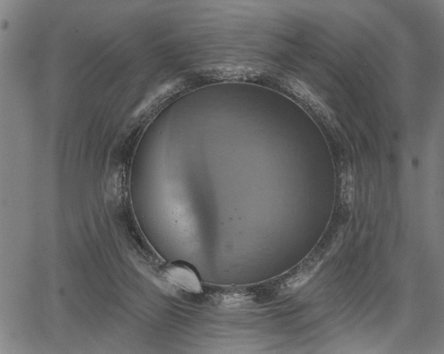 X0000067350165200604030943