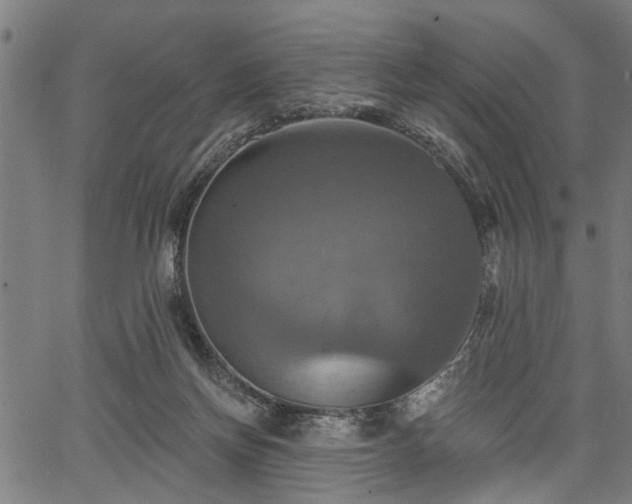 X0000067350166200604030943