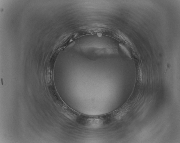 X0000067350169200604030943