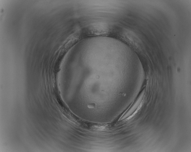 X0000067350170200604030943