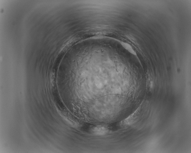 X0000067350171200604030943