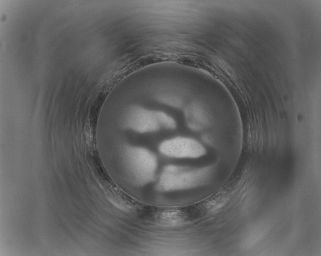 X0000067350173200604030943