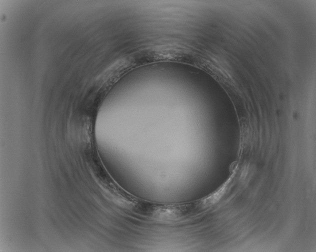 X0000067350174200604030943