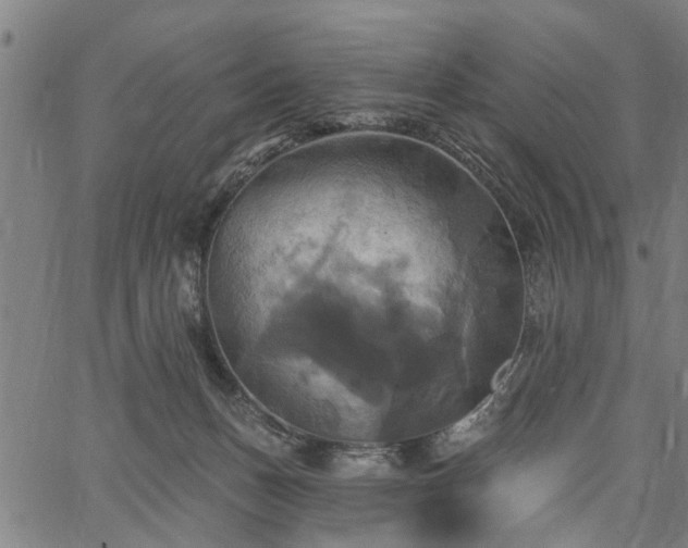 X0000067350175200604030943