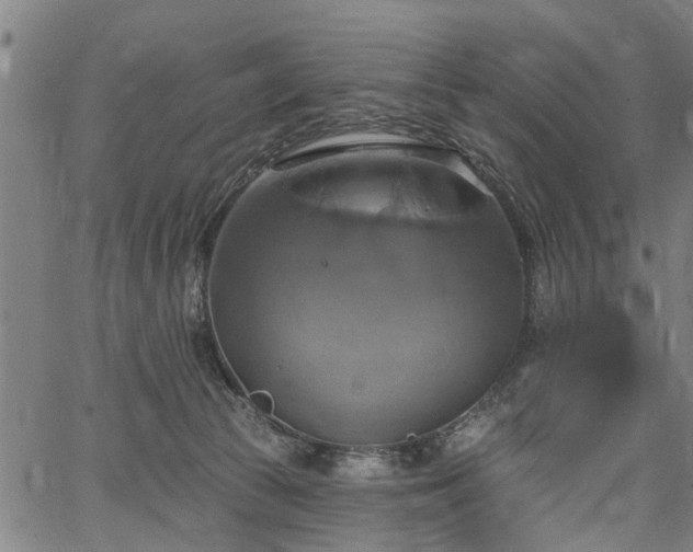 X0000067350177200604030943