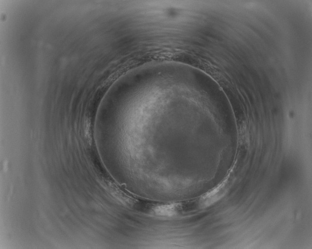 X0000067350178200604030943