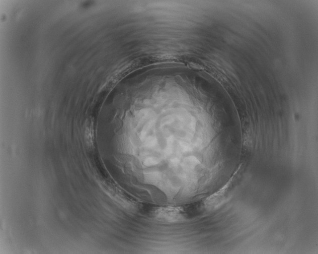 X0000067350179200604030943