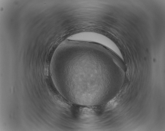 X0000067350180200604030943