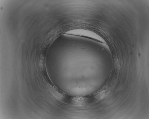 X0000067350181200604030943