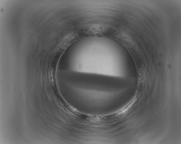 X0000067350182200604030943