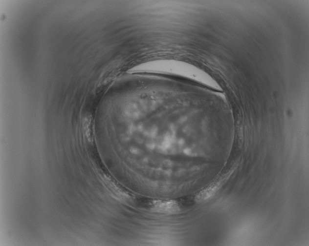 X0000067350185200604030943