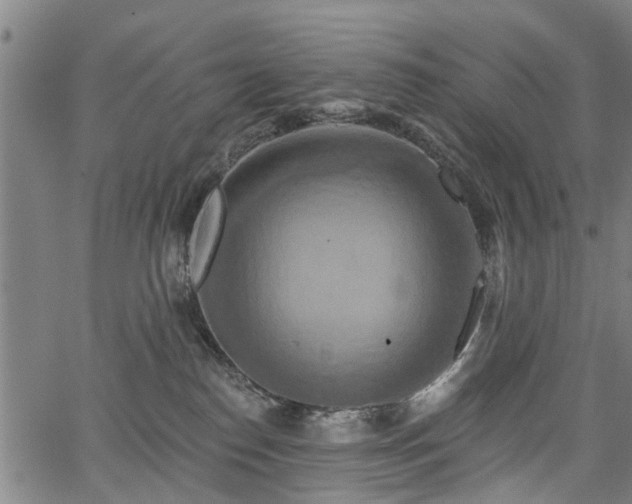 X0000067350186200604030943