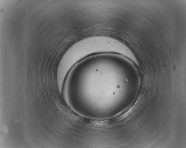 X0000067350187200604030943