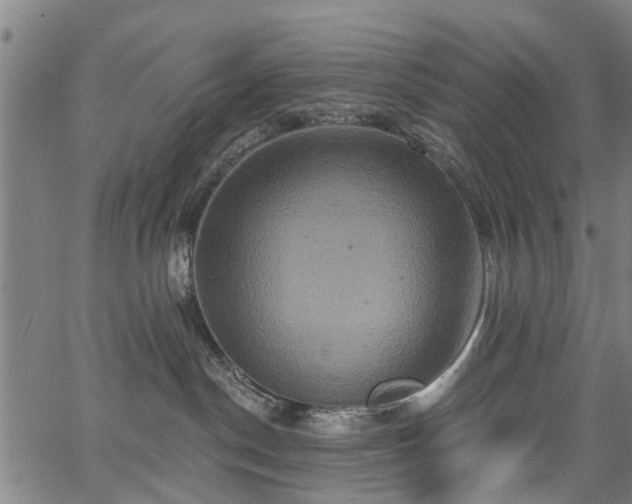 X0000067350190200604030943