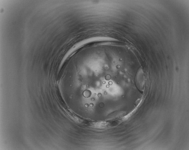 X0000067350191200604030943