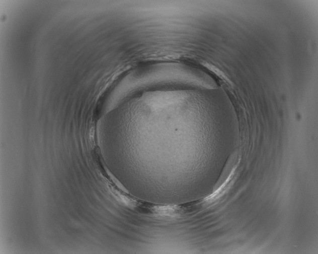 X0000067350192200604030943