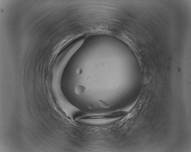 X0000067350193200604030942