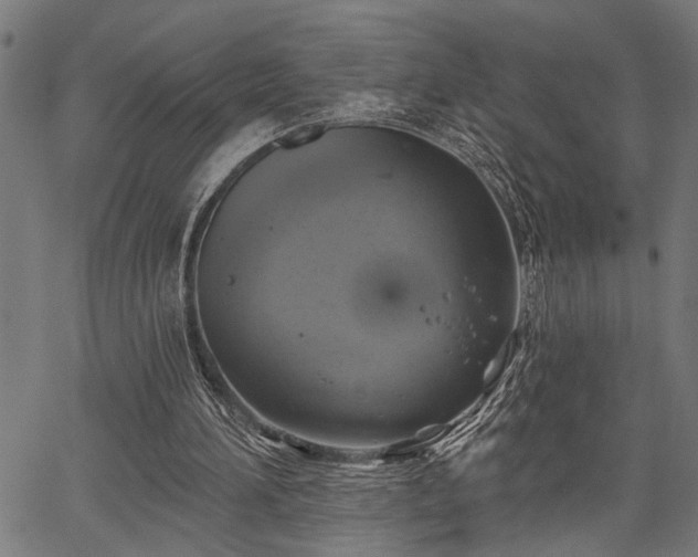 X0000067350196200604030942