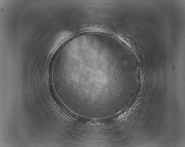 X0000067350199200604030942