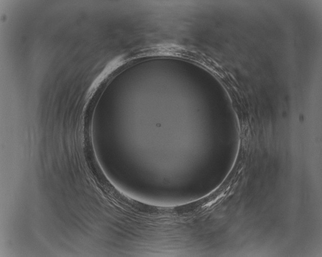 X0000067350200200604030942