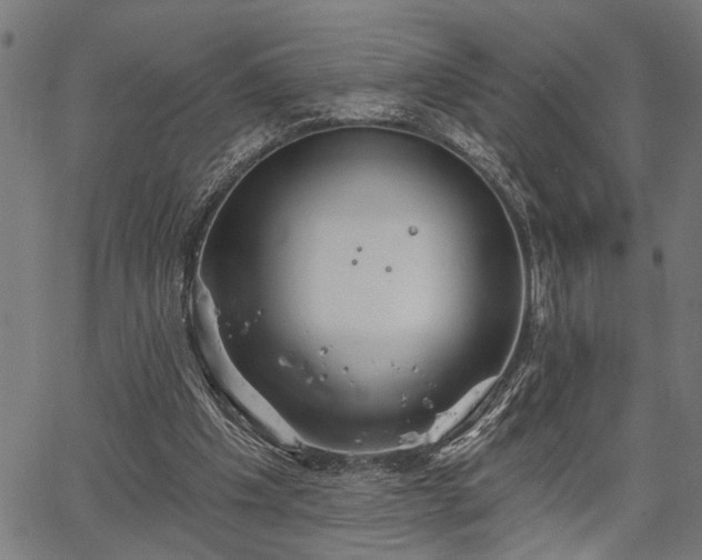 X0000067350201200604030942